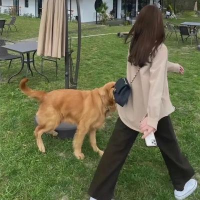 猛鬼宿舍